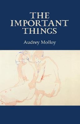 Paperback - The Important Things - 9781911338024 - 9781911338024