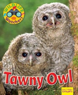 Ruth Owen - Wildlife Watchers: Tawny Owl: 2017 - 9781911341208 - V9781911341208