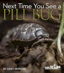 Emily Morgan - Next Time You See a Pill Bug - 9781936959174 - V9781936959174