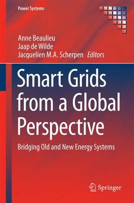 Anne Beaulieu (Ed.) - Smart Grids from a Global Perspective: Bridging Old and New Energy Systems - 9783319280752 - V9783319280752