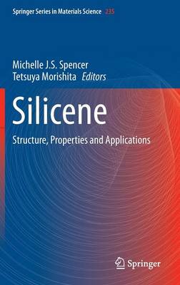 Michelle J. S. Spencer (Ed.) - Silicene: Structure, Properties and Applications - 9783319283425 - V9783319283425