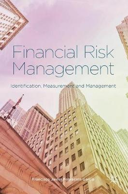 Francisco Javier Población García - Financial Risk Management: Identification, Measurement and Management - 9783319413655 - V9783319413655