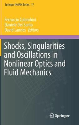 Ferruccio Colombini (Ed.) - Shocks, Singularities and Oscillations in Nonlinear Optics and Fluid Mechanics - 9783319520414 - V9783319520414