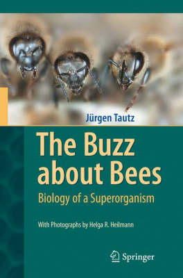 Jürgen Tautz - The Buzz About Bees - 9783540787273 - V9783540787273