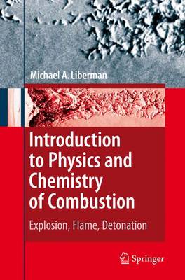 Michael A. Liberman - Introduction to Physics and Chemistry of Combustion: Explosion, Flame, Detonation - 9783642097553 - V9783642097553