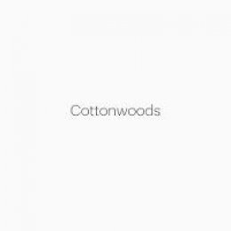 Robert Adams - Robert Adams: Cottonwoods - 9783958290969 - V9783958290969