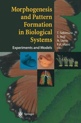 T. Sekimura (Ed.) - Morphogenesis and Pattern Formation in Biological Systems: Experiments and Models - 9784431659600 - V9784431659600