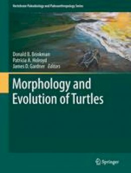 Donald B. Brinkman (Ed.) - Morphology and Evolution of Turtles - 9789401781510 - V9789401781510