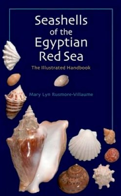 Mary Lyn Rusmore-Villaume - Seashells of the Egyptian Red Sea: The Illustrated Handbook - 9789774160967 - V9789774160967