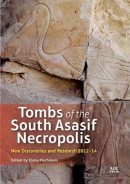 Elena Pischikova - Tombs of the South Asasif Necropolis: New Discoveries and Research 2012–2014 - 9789774167249 - V9789774167249