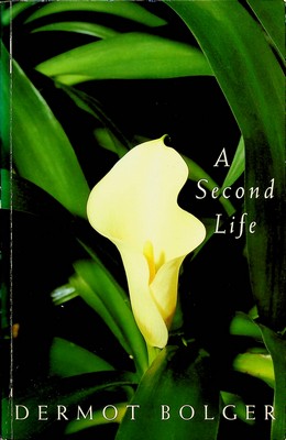 Dermot Bolger - A Second Life - 9780670857876 - KDK0011890