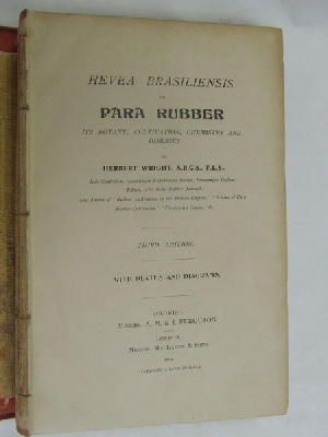 Herbert Wright - Hevea Brasiliensis or Para Rubber: Its Botany, Cultivation, Chemistry and Diseases  Third edition -  - KEX0269955