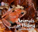 Charlotte Guillain - Animals in Hiding: Band 04/Blue (Collins Big Cat) - 9780007512850 - V9780007512850