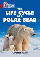 Catriona Clarke - The Life Cycle of a Polar Bear: Band 14/Ruby (Collins Big Cat) - 9780008208813 - V9780008208813