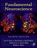 Larry Squire - Fundamental Neuroscience, Fourth Edition (Squire,Fundamental Neuroscience) - 9780123858702 - V9780123858702