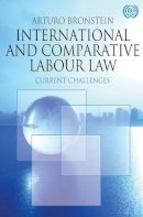 Arturo Bronstein - International and Comparative Labour Law: Current Challenges - 9780230228221 - V9780230228221