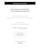 Committee On Assessing Juvenile Justice Reform - Reforming Juvenile Justice: A Developmental Approach - 9780309278904 - V9780309278904