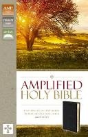 Zondervan - Amplified Holy Bible: Captures the Full Meaning Behind the Original Greek and Hebrew - 9780310443926 - V9780310443926
