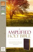 Zondervan - Amplified Holy Bible, Indexed: Captures the Full Meaning Behind the Original Greek and Hebrew - 9780310443957 - V9780310443957