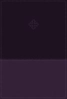 Thomas Nelson - Amplified Study Bible, Imitation Leather, Purple, Indexed - 9780310446538 - V9780310446538