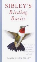 Allen Sibley - Sibley's Birding Basics - 9780375709661 - V9780375709661