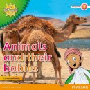 Kate Riddle - My Gulf World and Me Level 2 Non-fiction Reader: Animals and Their Babies - 9780435135188 - V9780435135188