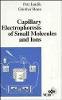 P. Jandik - Capillary Electrophoresis of Small Molecules and Ions - 9780471188223 - V9780471188223