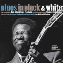 Michael Erlewine - Blues in Black and White: The Landmark Ann Arbor Blues Festivals - 9780472116959 - V9780472116959