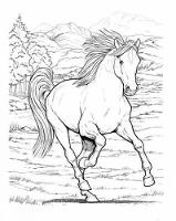 John Green - Wonderful World of Horses Coloring Book - 9780486444659 - V9780486444659