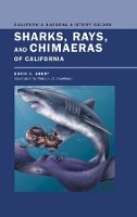 David Ebert - Sharks, Rays, and Chimaeras of California - 9780520234840 - V9780520234840