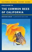 Gretchen Lebuhn - Field Guide to the Common Bees of California: Including Bees of the Western United States - 9780520272842 - V9780520272842