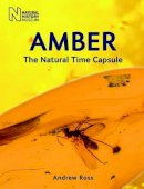 Andrew Ross - Amber: The Natural Time Capsule - 9780565092580 - V9780565092580