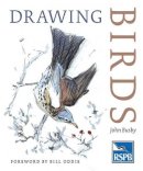 John Busby - Drawing Birds - 9780713668162 - V9780713668162
