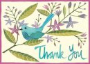 Alice Scott (Illust.) - Avian Friends Parcel Thank You Notes - 9780735330740 - V9780735330740