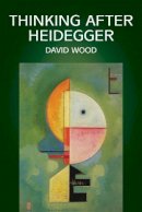 David Wood - Thinking After Heidegger - 9780745616230 - V9780745616230