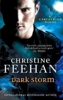 Christine Feehan - Dark Storm: Number 23 in series - 9780749957544 - V9780749957544