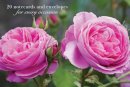 Peony Press - Pink Rose (Notecards & Envelopes) - 9780754825869 - V9780754825869