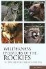 Mike Lapinski - Wilderness Predators of the Rockies - 9780762735372 - V9780762735372