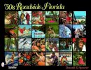 Donald D. Spencer - ´50s Roadside Florida - 9780764333644 - V9780764333644