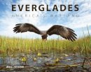 Mac Stone - Everglades: America´s Wetland - 9780813049854 - V9780813049854