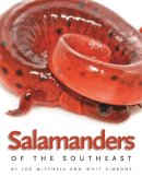 Mitchell, Joe, Gibbons, Whit - Salamanders of the Southeast (Wormsloe Foundation Nature Book) - 9780820330358 - V9780820330358