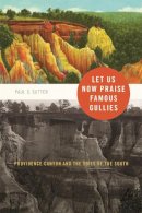 Paul Sutter - Let Us Now Praise Famous Gullies: Providence Canyon and the Soils of the South (Environmental History and the American South Ser.) - 9780820334011 - V9780820334011