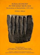 Peter S. Wells - Rural Economy in the Early Iron Age - Excavations at Hascherkeller, 1978-1981 - 9780873655392 - V9780873655392