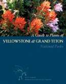 Ray Vizgirdas - A Guide to Plants of Yellowstone and Grand Teton National Parks - 9780874808759 - V9780874808759