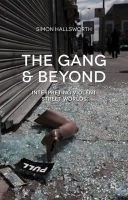 S. Hallsworth - The Gang and Beyond: Interpreting Violent Street Worlds - 9781137358097 - V9781137358097