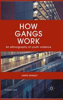 James Densley - How Gangs Work: An Ethnography of Youth Violence - 9781137572936 - V9781137572936