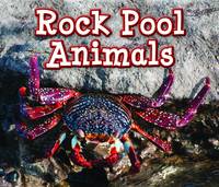 Sian Smith - Rock Pool Animals - 9781406280760 - V9781406280760