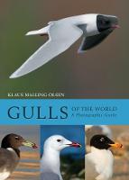 Klaus Malling Olsen - Gulls of the World: A Photographic Guide - 9781408181645 - V9781408181645
