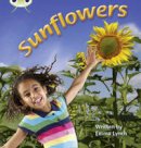 Emma Lynch - Bug Club Phonics Non Fiction Year 1 Phase 5 Set 20 Sunflowers - 9781408260906 - V9781408260906