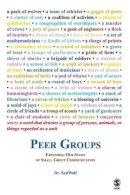 Sunwolf - Peer Groups: Expanding Our Study of Small Group Communication - 9781412926867 - V9781412926867